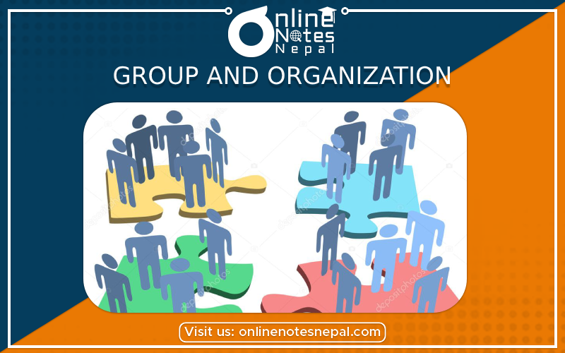 Group and Organization[PHOTO]